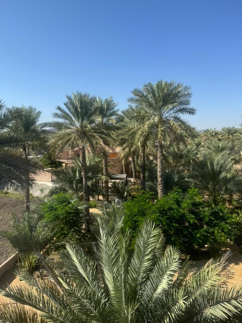 Jawharat Alaqar Inn نزل جوهرة العقر 니즈와 외부 사진